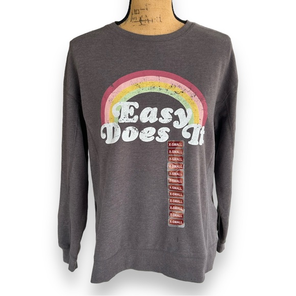Wildfox Statement Sweatshirt Easy Does It XS Split Sides Charcoal Gray Rainbow - Picture 3 of 11